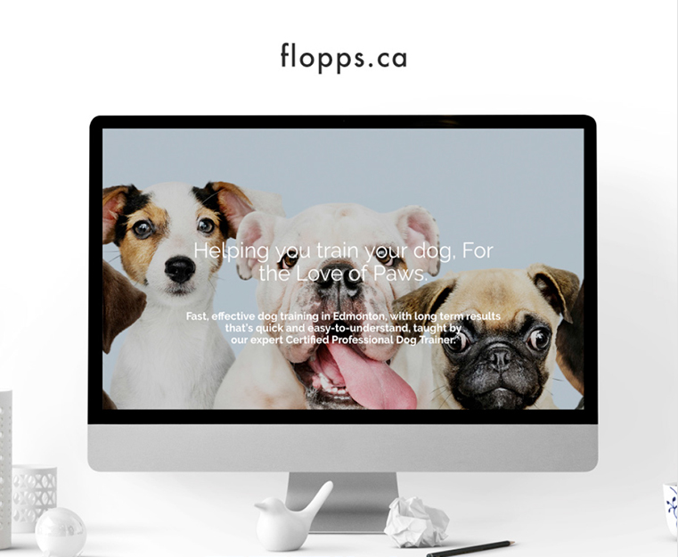 FLOPPS Logo + Website